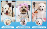 Pet Dog Dog Grooming Table Lanyard Cats And Dogs Bathing Fixer Pet Haircut Trim Blow Dry Traction Rope