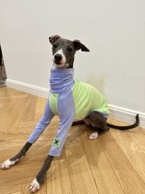 Color Matching Cotton T-shirt Vest Linton Terrier Clothes (Option: Fluorescent Green-1 Yard)