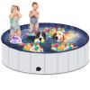 Foldable Dog Pool, Portable Hard Plastic Pet Pool for Dogs and Cats, Sturdy and Durable Pet Wading Pool for Indoor and Outdoor