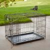 Double Door iCrate Metal Dog Crate, 42"