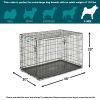 Double Door iCrate Metal Dog Crate, 42"